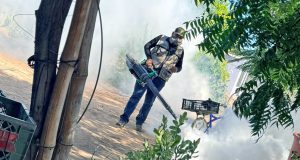 Refuerzan acciones contra el dengue en el sur de Sonora La Secretaría de Salud Pública reforzó de manera inmediata las acciones de control y prevención del dengue en Guaymas y Etchojoa.