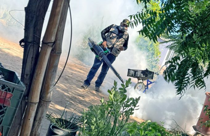 La Secretaría de Salud Pública reforzó de manera inmediata las acciones de control y prevención del dengue en Guaymas y Etchojoa.