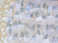 PESP y SEMAR detienen a hombre con narcóticos en Etchojoa